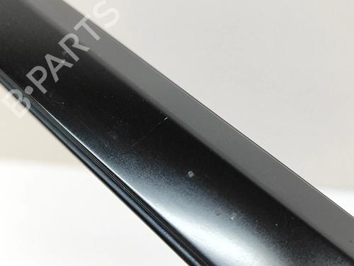 Dørliste TESLA MODEL Y (5YJY) EV Rear-Wheel Drive | BP33369857C150  - Image 5