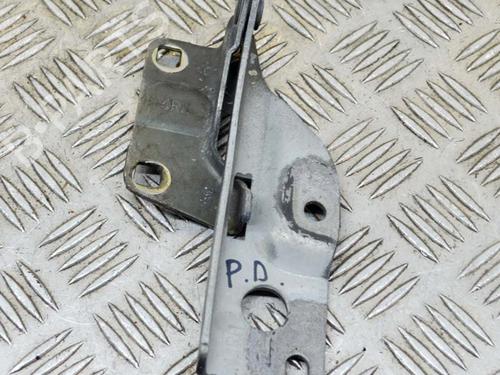 Used Hinge/Door check strap NISSAN PATHFINDER III (R51) 2.5 dCi (174 hp) 14629957