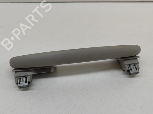 Interior roof handle SKODA ENYAQ iV SUV (5AZ) 80 | BP28550334I35 