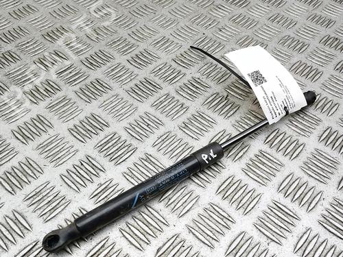 hood-lift-support-fiat-500e-332_-2020-36470898 main image