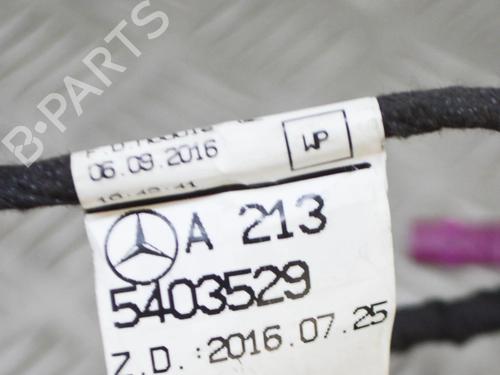 Wiring harness MERCEDES-BENZ E-CLASS (W213) E 220 d (213.004) | BP14653146E16