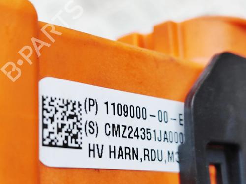 Wiring harness TESLA MODEL 3 (5YJ3) EV | BP33697654E16 - Image 6