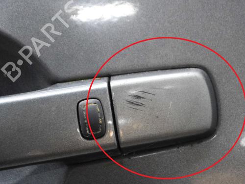 Left front door NISSAN PATHFINDER III (R51) 2.5 dCi 4WD | BP9227391C2
