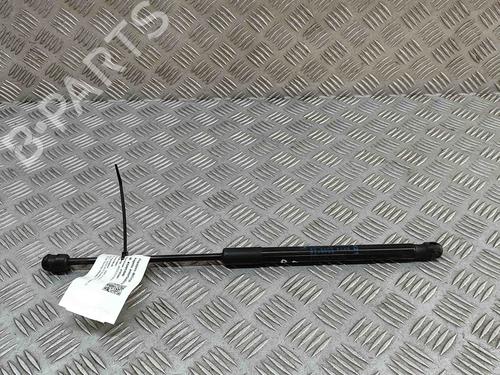 Hood lift support BMW X1 (F48) xDrive 20 d | BP29227431C139 
