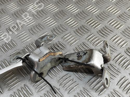 Hinge/Door check strap TOYOTA PRIUS (_W3_) 1.8 Hybrid (ZVW3_) | BP28811908C146 