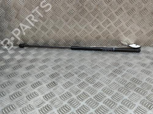 hood-lift-support-lexus-es-_z10_-_a10_-_h10_-2018-27767043 main image