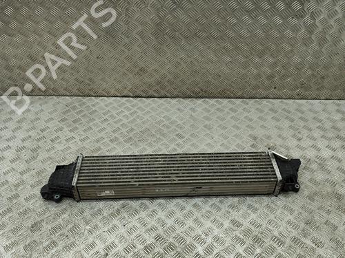 Intercooler HONDA CIVIC X Hatchback (FC_, FK_) 2.0 Type-R (FK8) | BP20675896M30 
