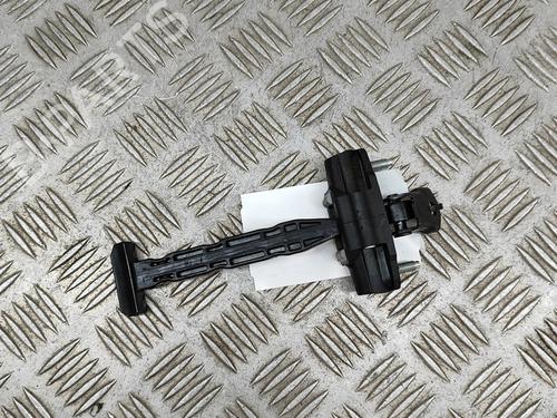 hingedoor-check-strap-tesla-model-y-5yjy-2019-33367871 main image