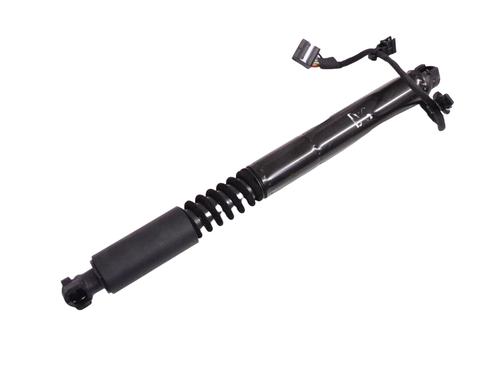 Used Hinge/Door check strap Hinge/Door check strap TESLA MODEL X (5YJX) P100D AWD (772 hp) 33351636 33351636