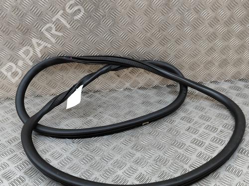 Rubber door seal FORD KUGA III (DFK) 2.5 FHEV | BP28562043C142