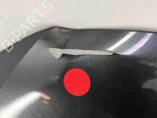 Hood VW GOLF VII (5G1, BQ1, BE1, BE2) 2.0 GTD | BP29730656C1