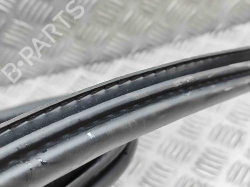 Rubber door seal FORD KUGA III (DFK) 2.5 Duratec Plug-in-Hybrid | BP29487248C142 