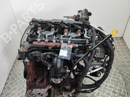 Engine FORD TRANSIT CUSTOM V362 Bus (F3) 2.2 TDCi | BP37029298M1 - Image 6