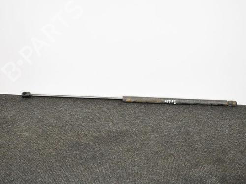 Used Hood lift support MERCEDES-BENZ S-CLASS (W220, V220) S 400 CDI (220.028, 220.128) (250 hp) 14665856