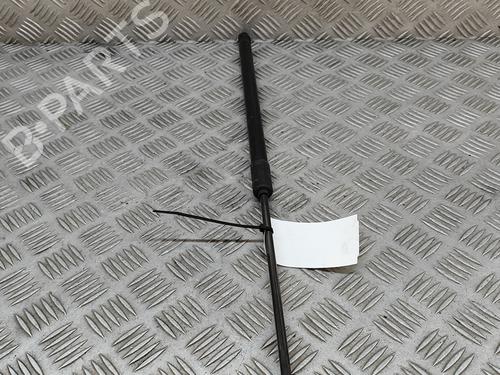 Tailgate lift support VW PASSAT B8 Variant (3G5, CB5) 2.0 TDI | BP26441737C138 