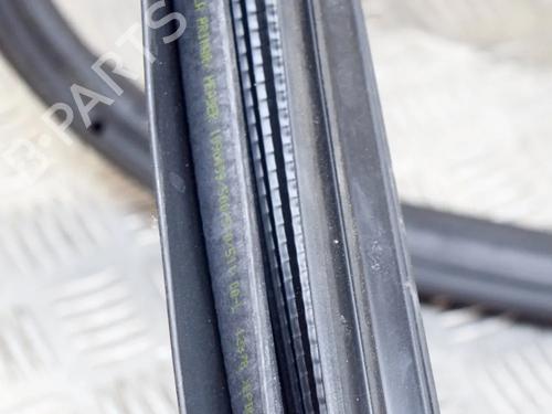 Gummiliste TESLA MODEL 3 (5YJ3) EV AWD | BP27755565C142 