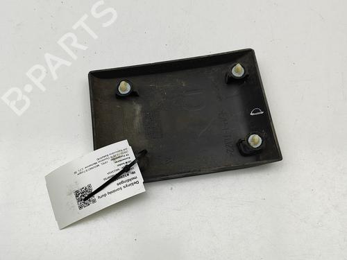 Door moulding trim OPEL MOVANO B Van (X62) 2.3 CDTI FWD (FV) | BP29920302C150