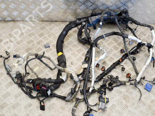 Wiring harness JAGUAR F-TYPE Coupe (X152) 3.0 SCV6 | BP14642051E16 
