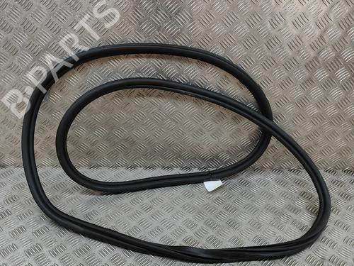 Gummiliste BMW X7 (G07) xDrive 40 d Mild-Hybrid | BP27772571C142