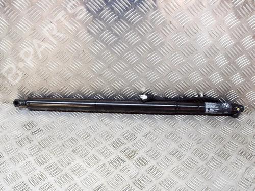 Used Tailgate lift support Tailgate lift support BMW X4 (G02, F98) xDrive 20 d (190 hp) 27756087 27756087