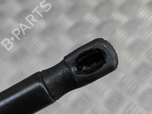 Hood lift support BMW X5 (F15, F85) xDrive 30 d | BP27799831C139