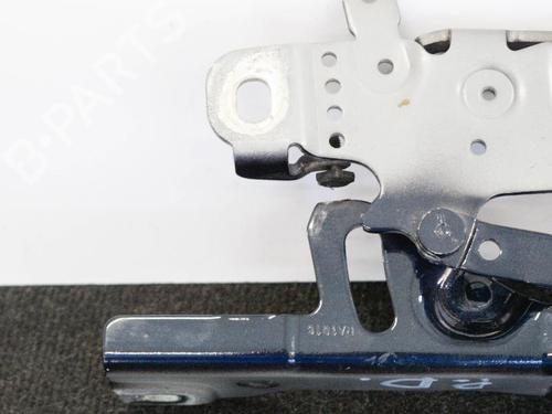 Hinge/Door check strap BMW 4 Gran Coupe (F36) 435 d xDrive | BP14667813C146 