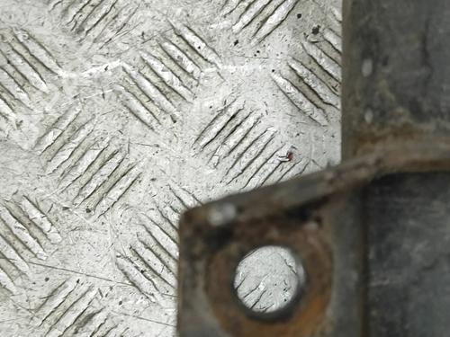 Right front shock absorber VW CADDY V MPV (SBB, SBJ) 2.0 TDI 4motion | BP31976821M17  - Image 7