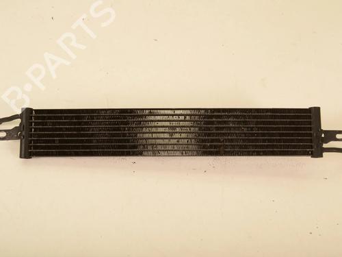 Used Water radiator LAND ROVER RANGE ROVER SPORT I (L320) 3.6 D 4x4 (272 hp) 30208997