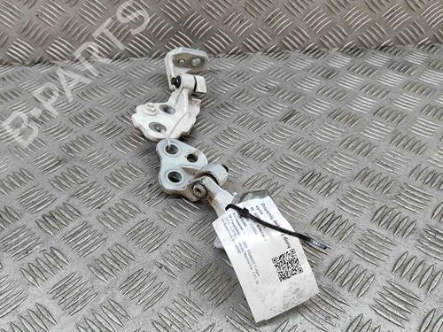 Hinge/Door check strap FORD TRANSIT V363 Van (FCD, FDD) 2.0 EcoBlue | BP20674977C146