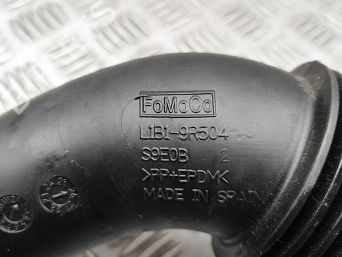 Pipe FORD PUMA (J2K, CF7) 1.0 EcoBoost mHEV | BP38421969M125 - Image 7