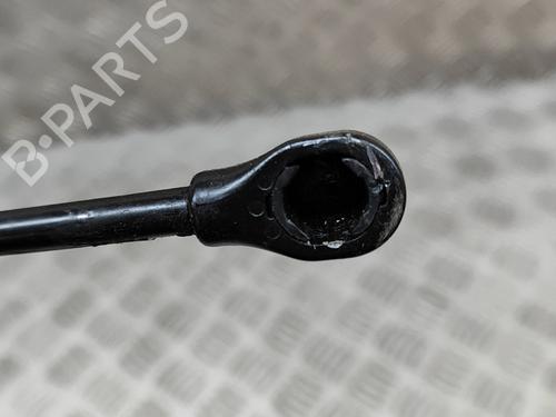 Hinge/Door check strap PORSCHE PANAMERA (970) 3.6 4 | BP15910161C146 