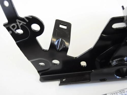 Hinge/Door check strap AUDI A7 Sportback (4GA, 4GF) 3.0 TDI quattro | BP30241801C146