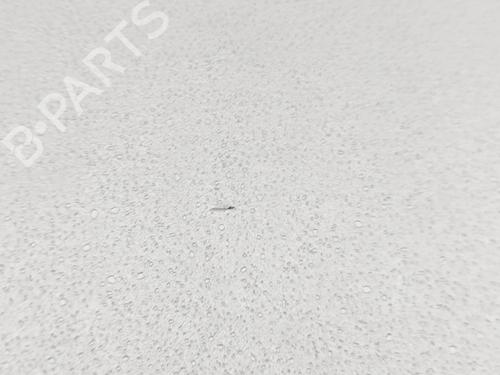 Glove box KIA NIRO II (SG2) EV | BP33382303C95  - Image 6