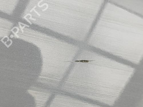 Tailgate BMW X7 (G07) xDrive 40 i Mild Hybrid | BP32269311C6 