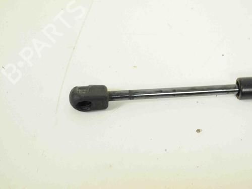Hood lift support VOLVO XC60 I SUV (156) D5 | BP30256975C139 