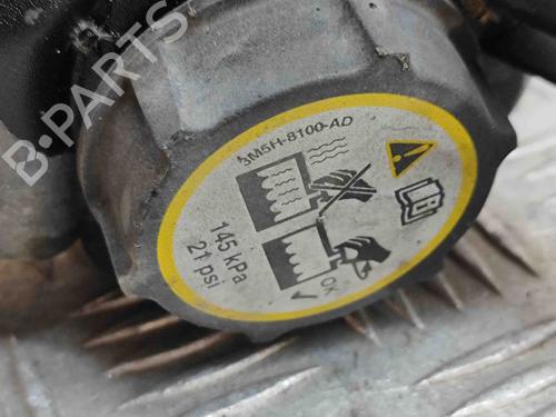 Expansion tank FORD S-MAX (WA6) 2.0 TDCi | BP24582168C120 