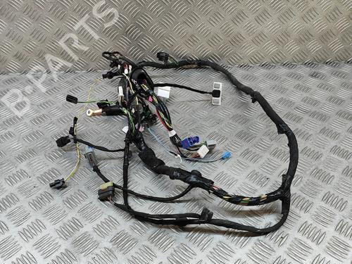 Wiring harness TESLA MODEL X (5YJX) P100D AWD | BP25787881E16