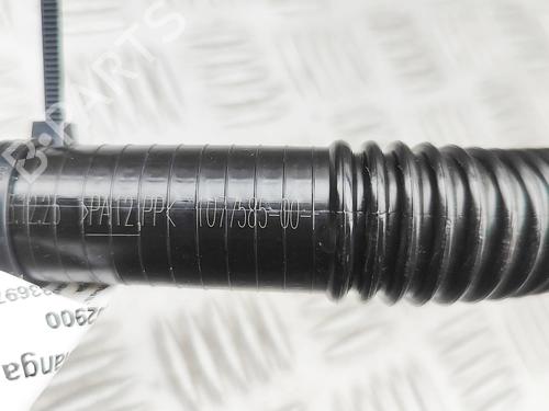Pipe TESLA MODEL 3 (5YJ3) EV | BP38515848M125  - Image 6
