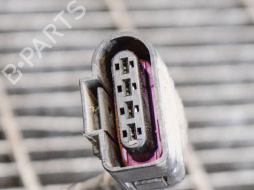 Wiring harness PORSCHE PANAMERA (970) 3.6 4 | BP14613287E16 
