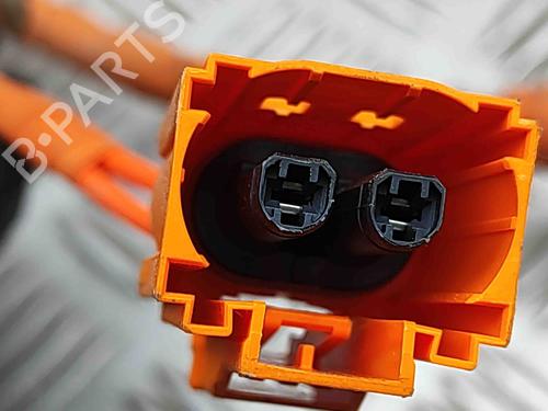 Wiring harness SKODA ENYAQ iV SUV (5AZ) 60 | BP29487989E16 