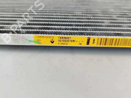 AC radiator RENAULT AUSTRAL E-TECH 200 Hybrid (HGM2) | BP33961986M32  - Image 6