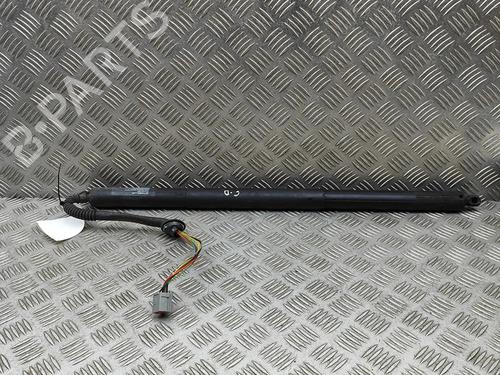 Amortecedor da mala TESLA MODEL S (5YJS) P100D AWD (772 hp) 30394342