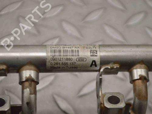 Injection rail FORD FOCUS III 1.0 EcoBoost | BP30228043M98