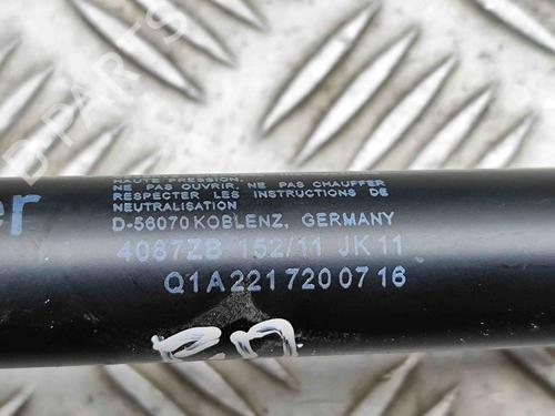 Hinge/Door check strap MERCEDES-BENZ S-CLASS (W221, V221) S 350 BlueTec (221.026, 221.126) | BP29404774C146 