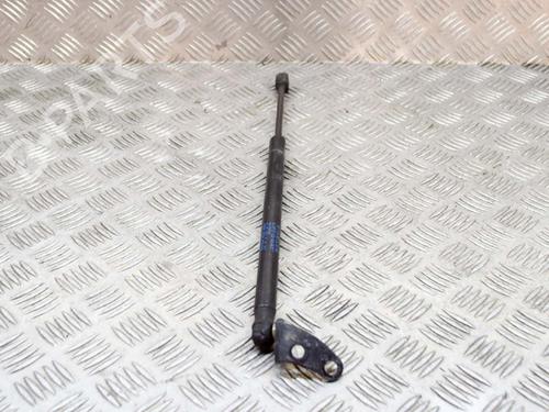 Hood lift support TESLA MODEL S (5YJS) 75 | BP14632274C139 