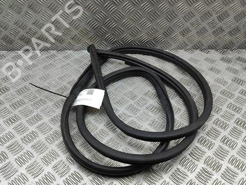 Gummilist Gummilist LEXUS NX II (_A2_, _H2_) 350h E-Four (AAZH25) (243 hp) 33388326 33388326