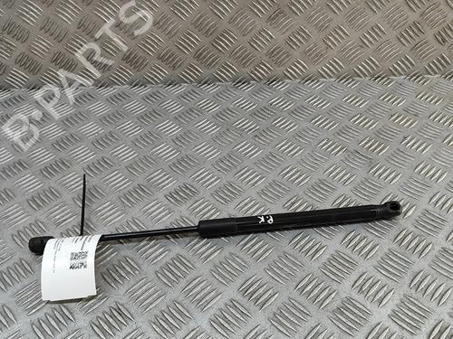 hood-lift-support-bmw-x1-f48-2014-2015-2016-2017-2018-2019-2020-2021-2022-29227432 main image