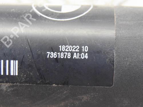 Tailgate lift support BMW X5 (F15, F85) xDrive 30 d | BP14621173C138 