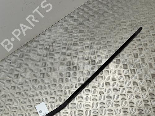 Door moulding trim BMW 7 (F01, F02, F03, F04) 730 d | BP18314119C150 