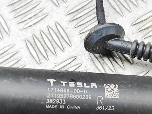 Tailgate lift support TESLA MODEL 3 (5YJ3) EV | BP36327151C138  - Image 6